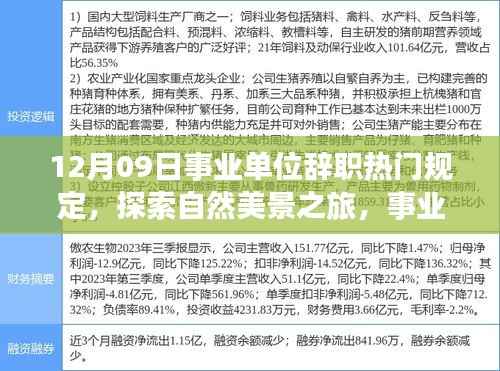 事业单位辞职规定背后的心灵启示与探索自然美景之旅