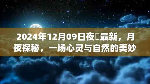 月夜探秘,心灵与自然的邂逅——记2024年12月09日夜廻之旅