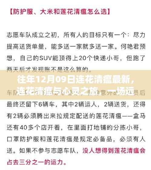 连花清瘟与心灵之旅,远离尘嚣的奇妙探险之旅
