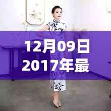 2017年最新款旗袍制作指南,DIY步骤详解,适合所有水平的旗袍爱好者