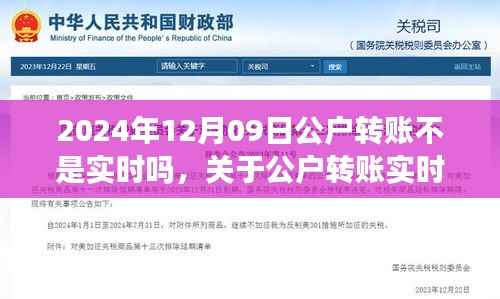 关于公户转账实时性的深度评测,以2024年12月9日的转账体验为例