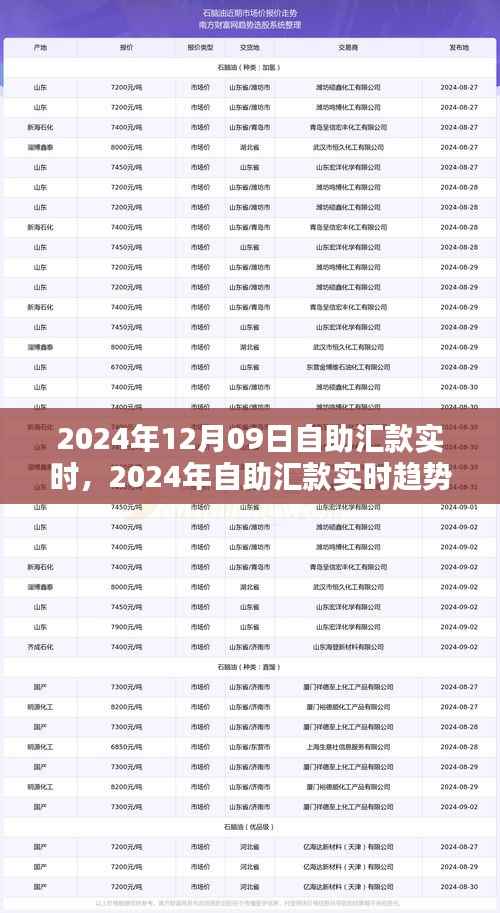 自助汇款实时趋势下的金融革新,机遇与挑战并存(2024年12月09日)