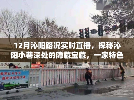 探秘沁阳小巷宝藏,实时路况直播启程,带你领略独特风情