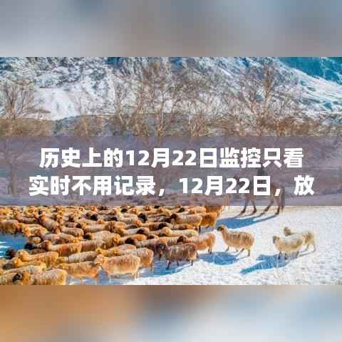 12月22日，放下记录，心灵旅行的日子