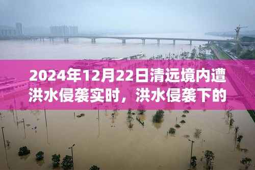 洪水侵袭下的清远秘境，美食奇遇与实时报道