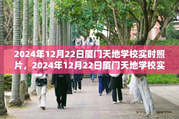 一窥厦门天地学校实时美景,2024年12月22日校园风光纪实