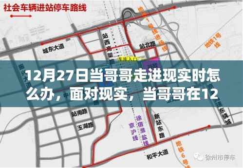 实用指南，如何应对哥哥在12月27日走进生活，初学者与进阶用户的现实挑战！