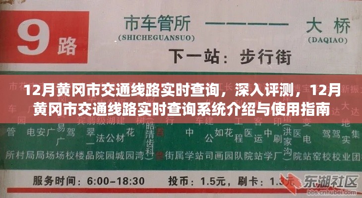 guizhangguizhi 第3页