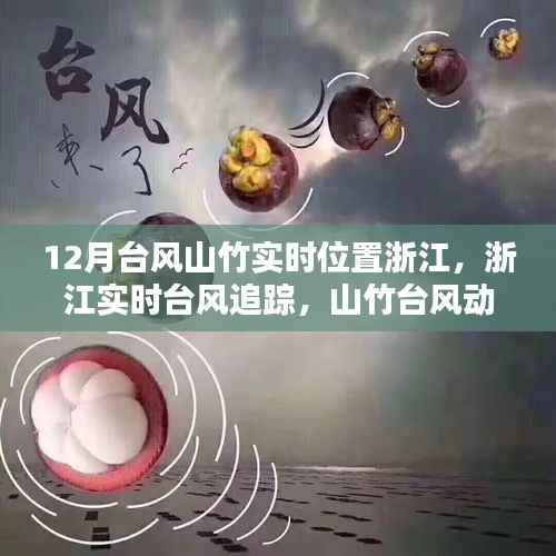 浙江台风山竹实时追踪,科技助力掌控台风动态