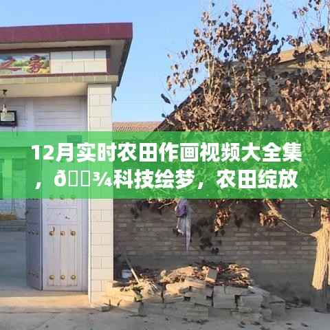 12月实时农田作画视频惊艳呈现，科技绘梦，农田绽放新篇章！