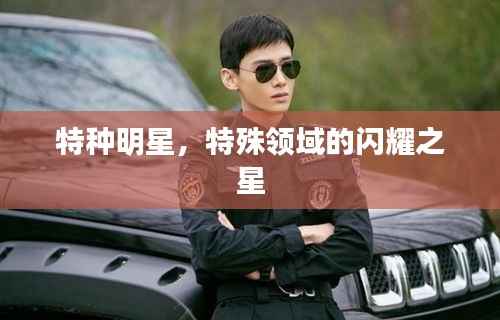 特种明星，特殊领域的闪耀之星