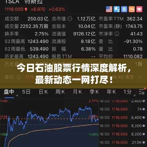 今日石油股票行情深度解析，最新动态一网打尽！