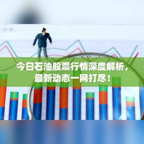 今日石油股票行情深度解析,最新动态一网打尽!