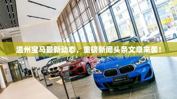 温州宝马最新动态,重磅新闻头条文章来袭!
