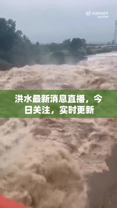 还醇返朴 第3页