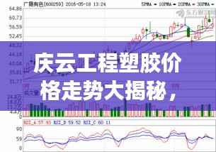 庆云工程塑胶价格走势大揭秘,最新行情分析!