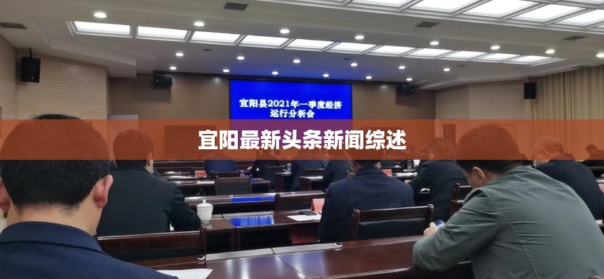 宜阳最新头条新闻综述