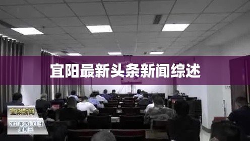 宜阳最新头条新闻综述