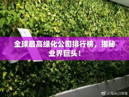 全球最高绿化公司排行榜，揭秘业界巨头！
