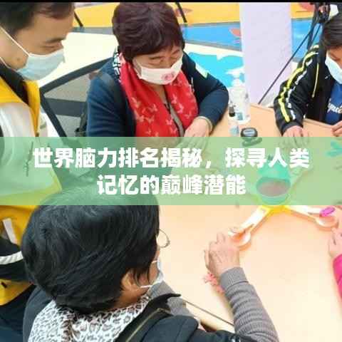 世界脑力排名揭秘,探寻人类记忆的巅峰潜能