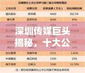 深圳传媒巨头揭秘，十大公司排名榜单