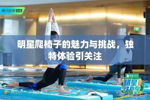 明星爬椅子的魅力与挑战，独特体验引关注