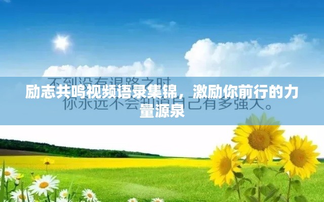 励志共鸣视频语录集锦，激励你前行的力量源泉