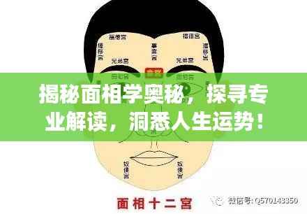 揭秘面相学奥秘,探寻专业解读,洞悉人生运势!