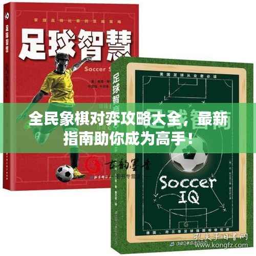 全民象棋对弈攻略大全,最新指南助你成为高手!