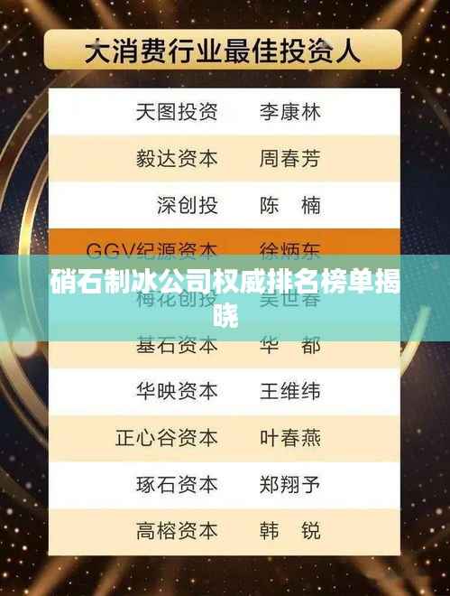 硝石制冰公司权威排名榜单揭晓