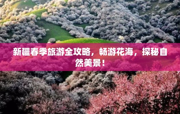 新疆春季旅游全攻略,畅游花海,探秘自然美景!