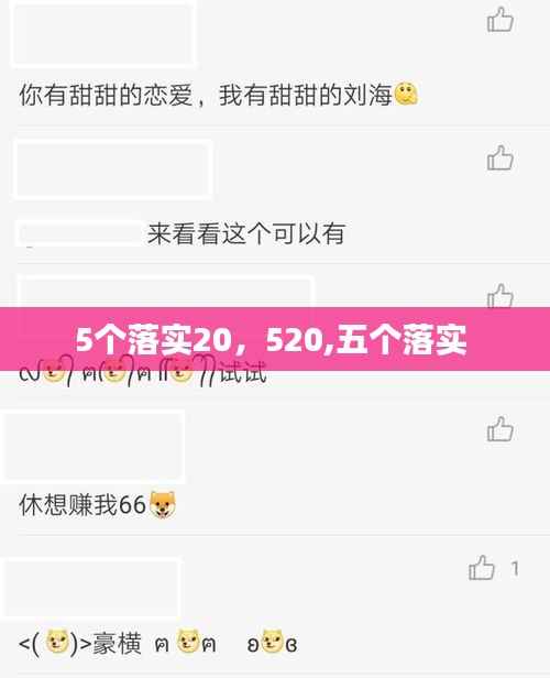 5个落实20,520,五个落实