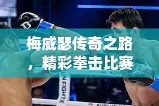梅威瑟传奇之路，精彩拳击比赛视频回顾