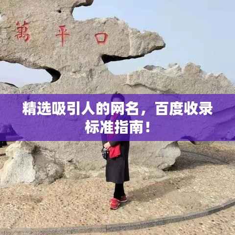 精选吸引人的网名,百度收录标准指南!