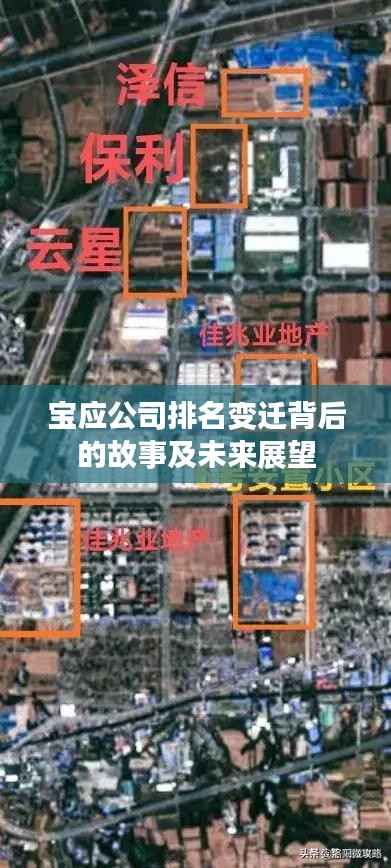 宝应公司排名变迁背后的故事及未来展望