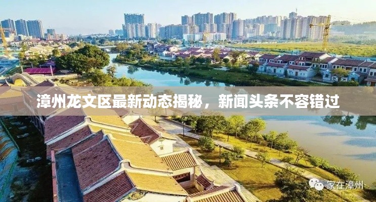 鸟吏鳖官 第3页