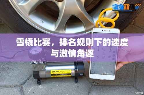 雪橇比赛,排名规则下的速度与激情角逐