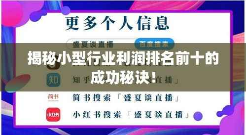 揭秘小型行业利润排名前十的成功秘诀!