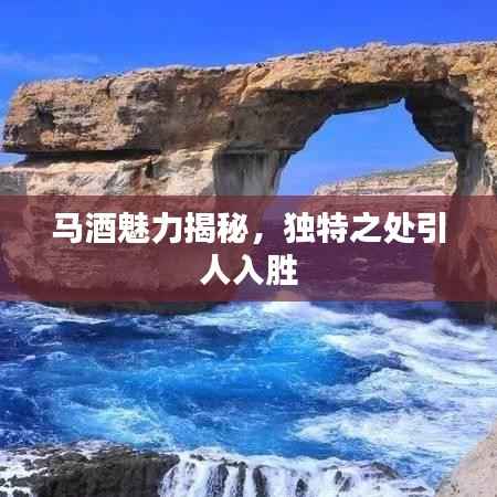 马酒魅力揭秘,独特之处引人入胜