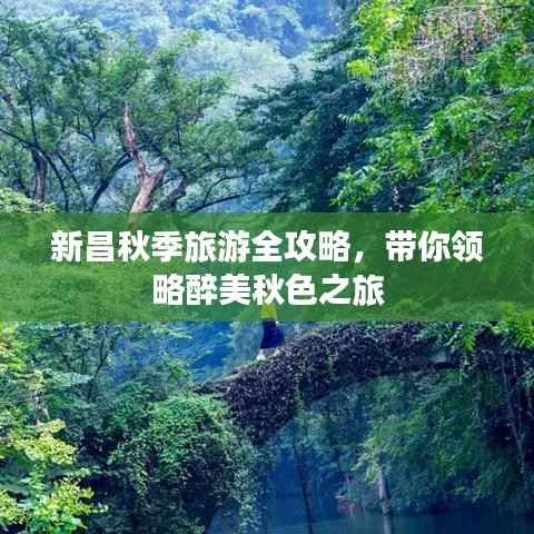 新昌秋季旅游全攻略,带你领略醉美秋色之旅