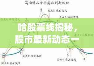 哈股票线揭秘,股市最新动态一网打尽