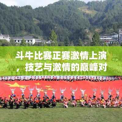 斗牛比赛正赛激情上演,技艺与激情的巅峰对决