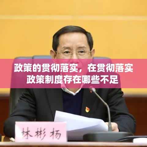 政策的贯彻落实,在贯彻落实政策制度存在哪些不足