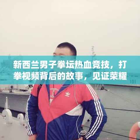 新西兰男子拳坛热血竞技，打拳视频背后的故事，见证荣耀时刻