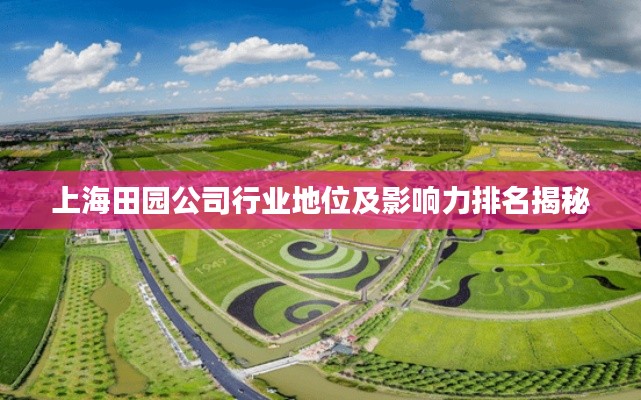 上海田园公司行业地位及影响力排名揭秘