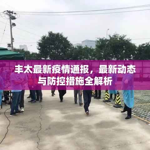 丰太最新疫情通报，最新动态与防控措施全解析
