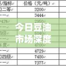 今日豆油市场深度解析,最新动态与形势展望