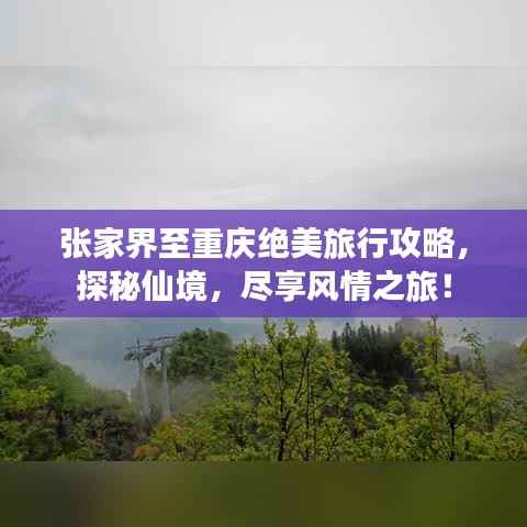 韦编三绝 第2页