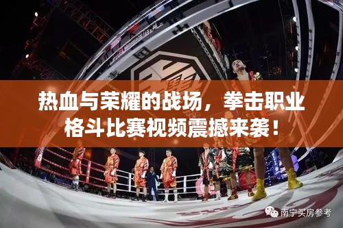 热血与荣耀的战场,拳击职业格斗比赛视频震撼来袭!