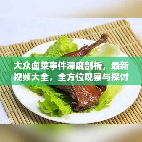 大众卤菜事件深度剖析,最新视频大全,全方位观察与探讨